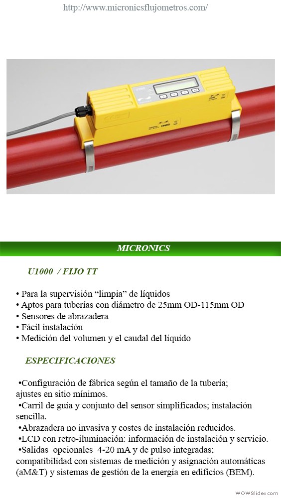 MICRONICS U1000 / Fijo TT